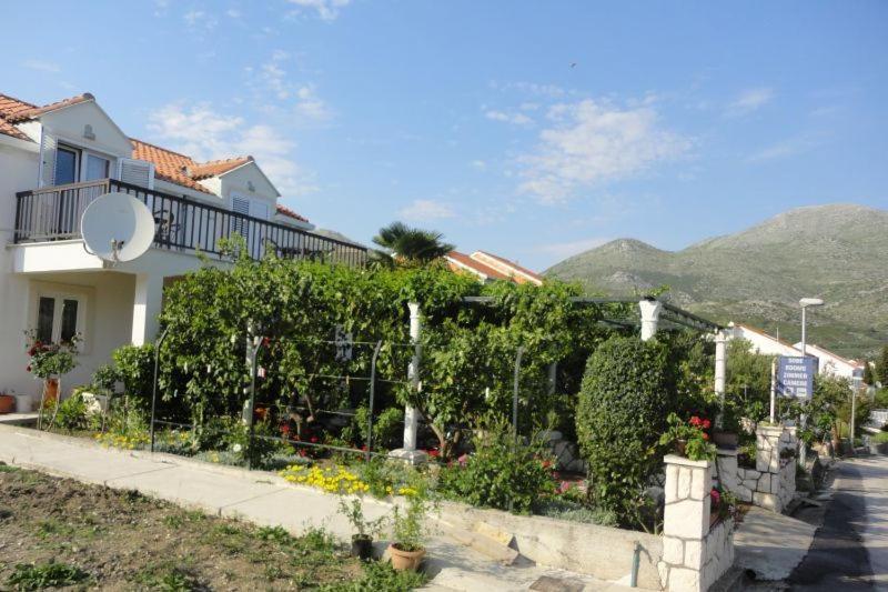 Guest House Pavkovic Slano Exterior photo