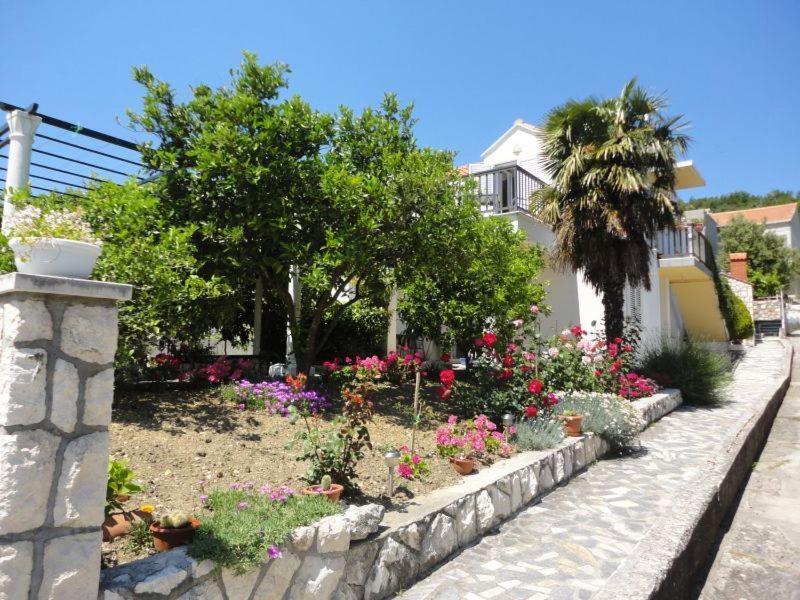 Guest House Pavkovic Slano Exterior photo